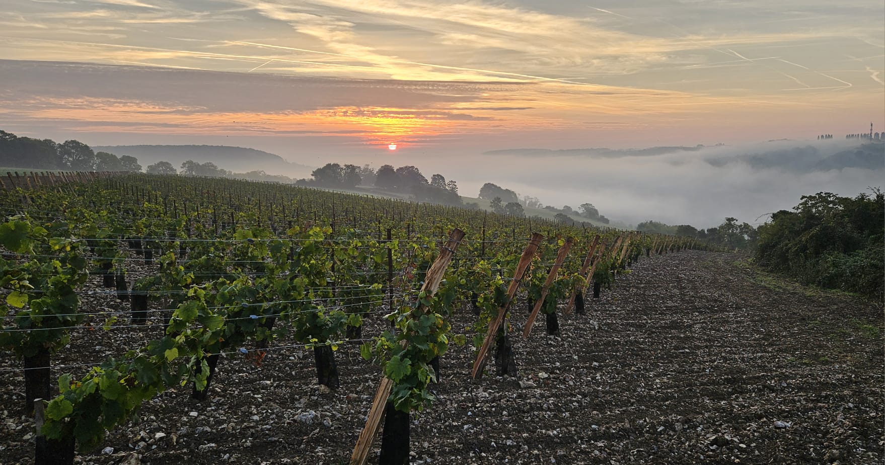 Château normand émergeant de la brume au lever du jour